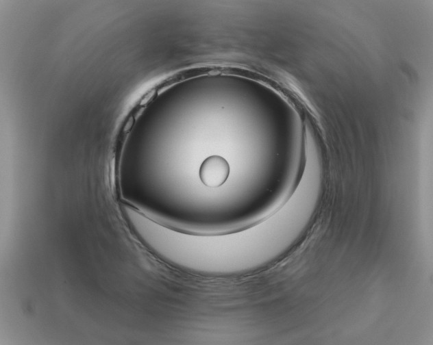 X0000113011320200909101809