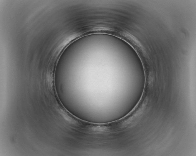 X0000113011321200909101809