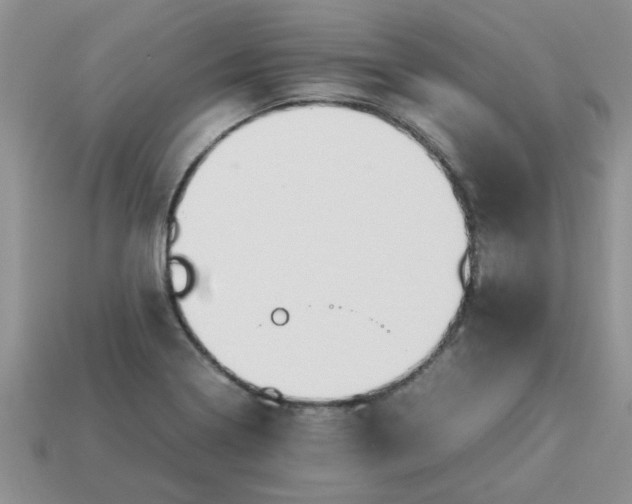 X0000113011322200909101809