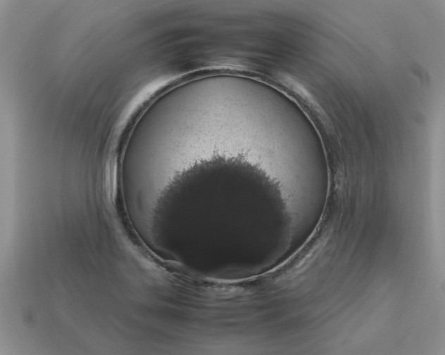 X0000113011323200909101809