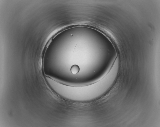 X0000113011324200909101809