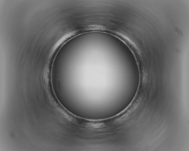 X0000113011325200909101809