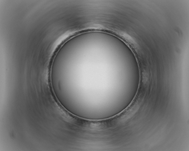 X0000113011326200909101809