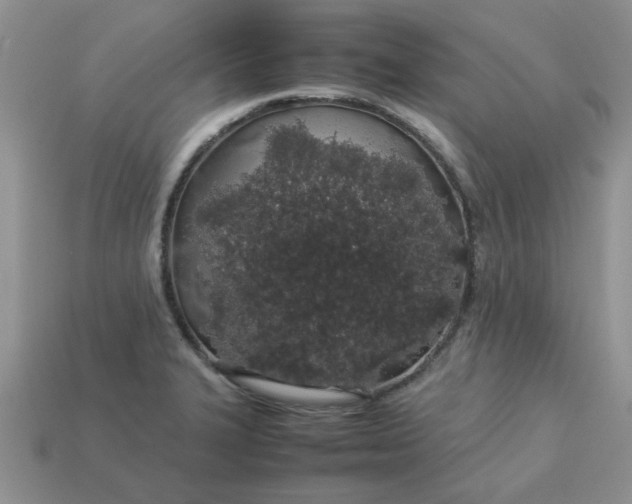 X0000113011327200909101809