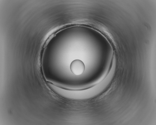 X0000113011328200909101809