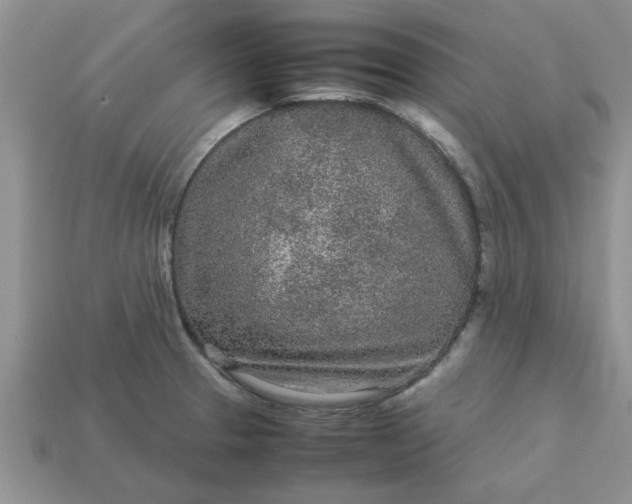 X0000113011329200909101809