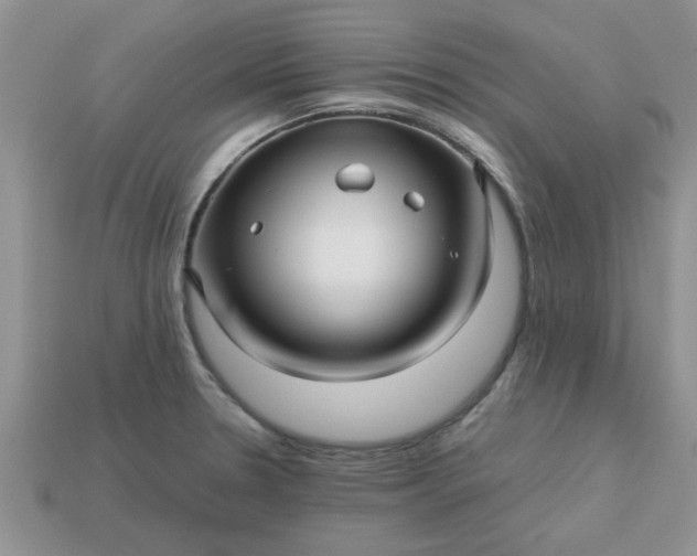 X0000113011330200909101809