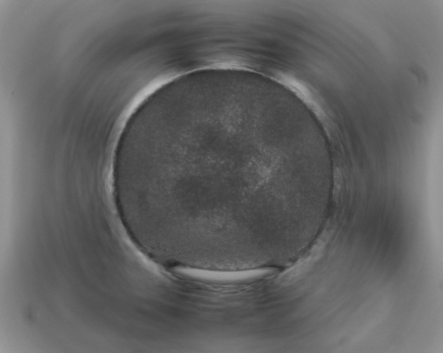 X0000113011331200909101809