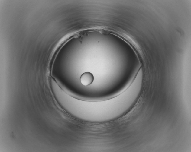 X0000113011332200909101809