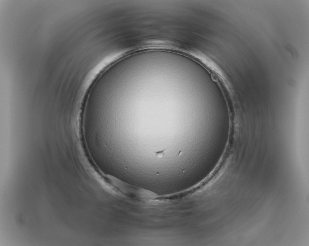 X0000113011333200909101809