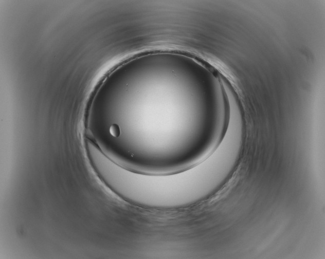 X0000113011334200909101809