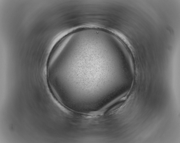 X0000113011335200909101809