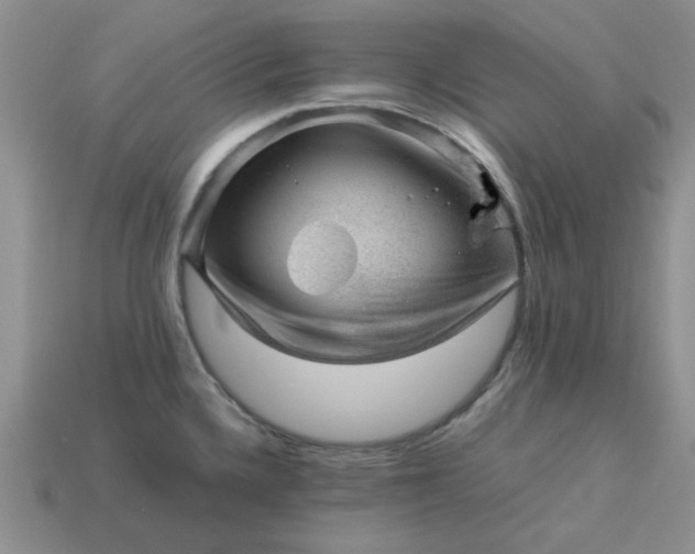 X0000113011336200909101809