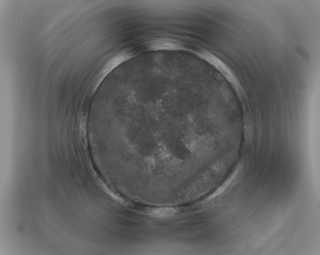 X0000113011337200909101809