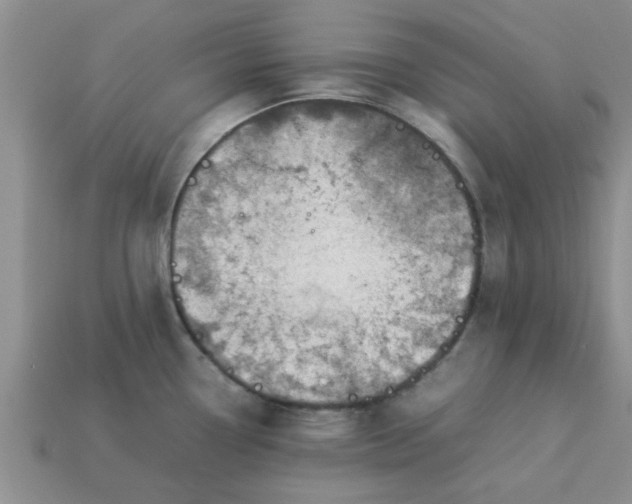 X0000113011338200909101809