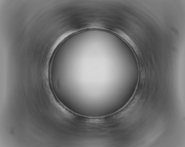 X0000113011339200909101809