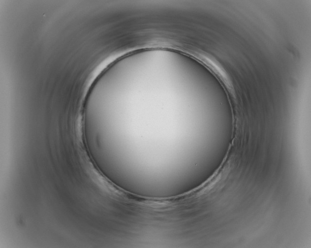 X0000113011340200909101809