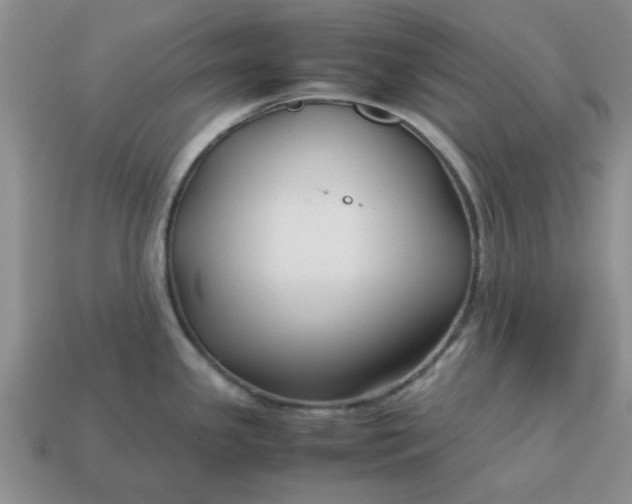 X0000113011341200909101809