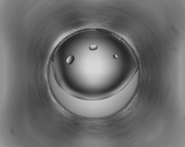 X0000113011342200909101809