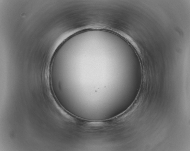 X0000113011343200909101809