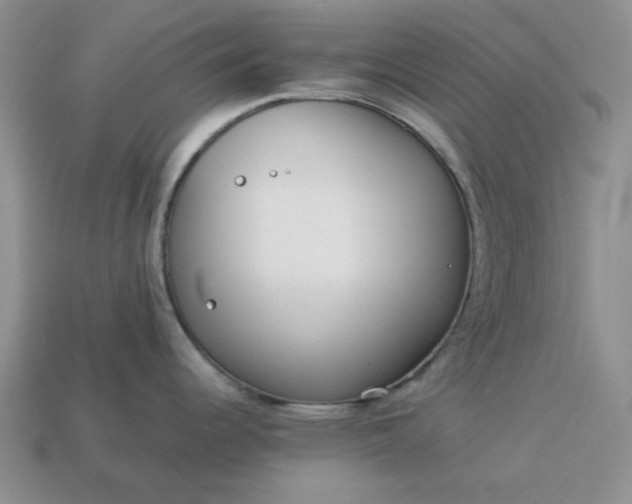 X0000113011344200909101809