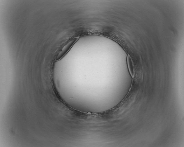 X0000113011345200909101809