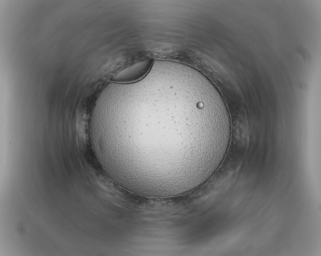 X0000113011346200909101809