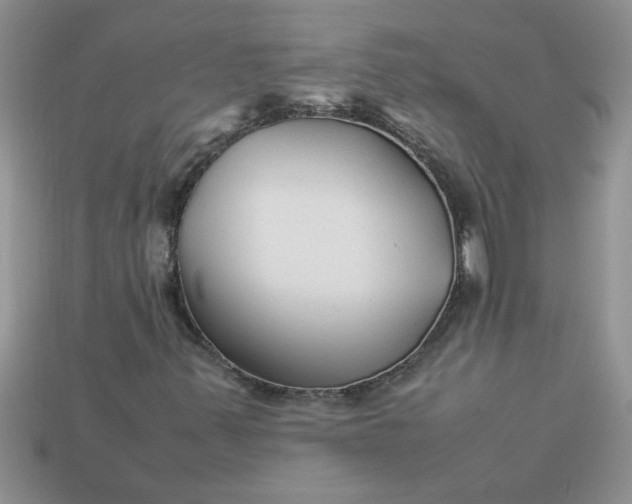 X0000113011347200909101809