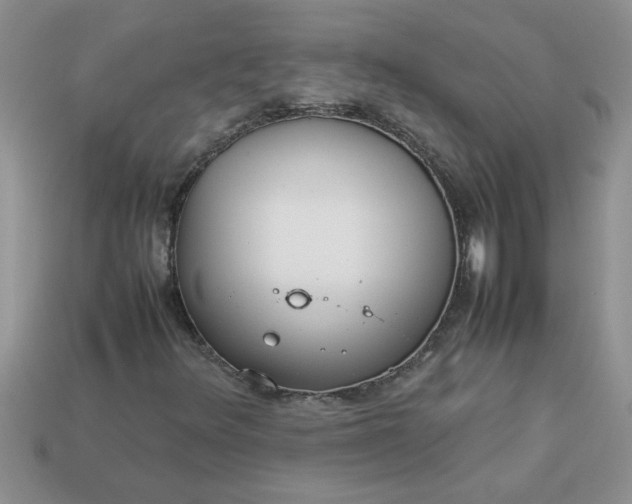 X0000113011348200909101809