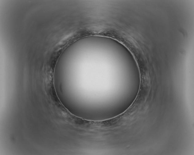 X0000113011349200909101809