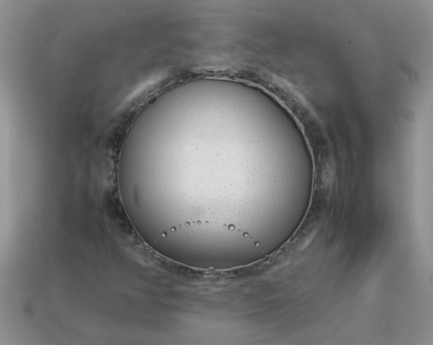 X0000113011350200909101809