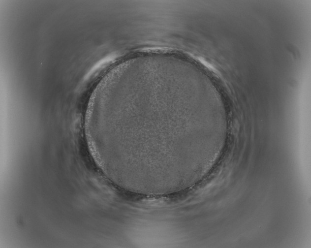 X0000113011351200909101809