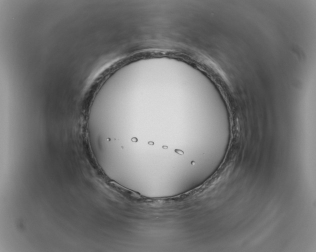 X0000113011352200909101809