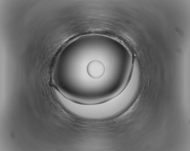 X0000113011353200909101809