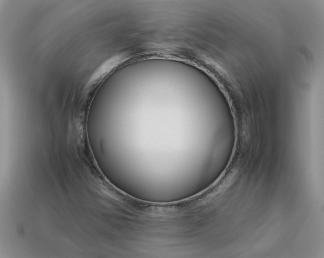 X0000113011354200909101809