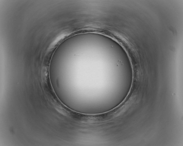 X0000113011355200909101809