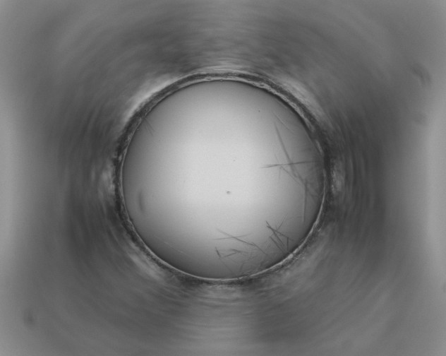 X0000113011356200909101809