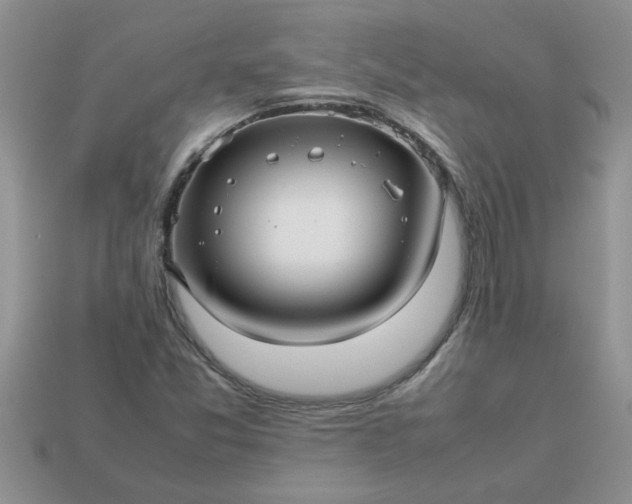 X0000113011357200909101809