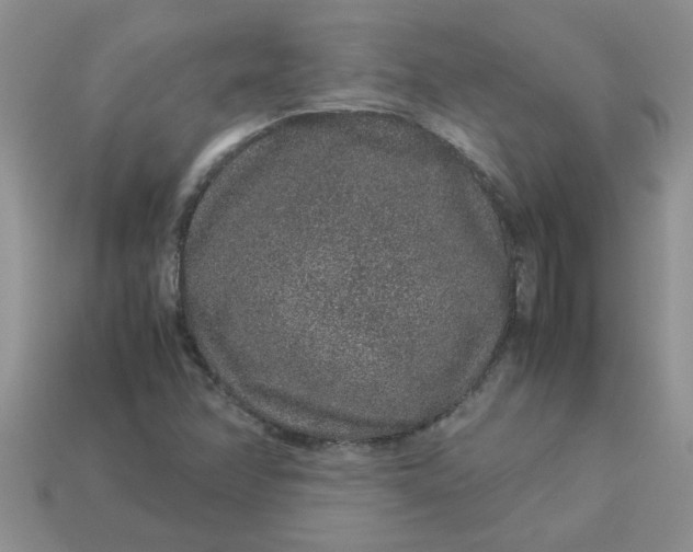 X0000113011358200909101809