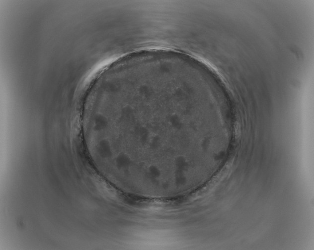 X0000113011359200909101809