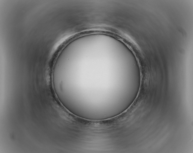 X0000113011360200909101809