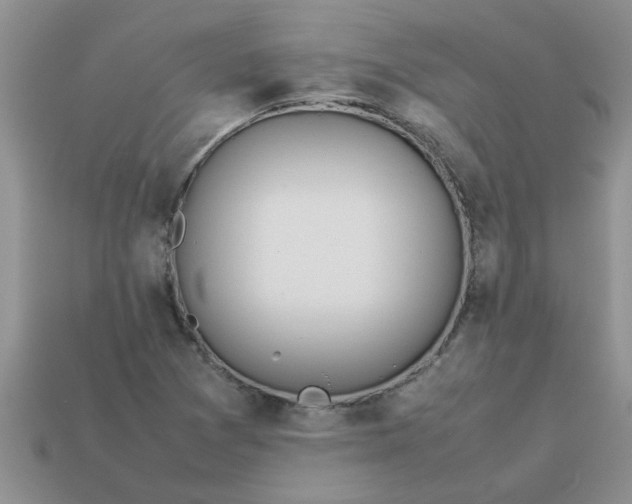 X0000113011361200909101809