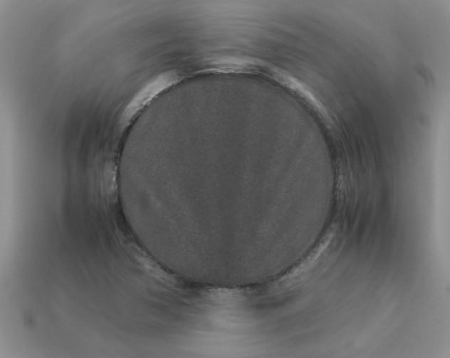 X0000113011362200909101809