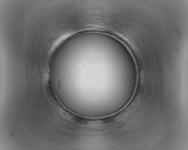 X0000113011363200909101809