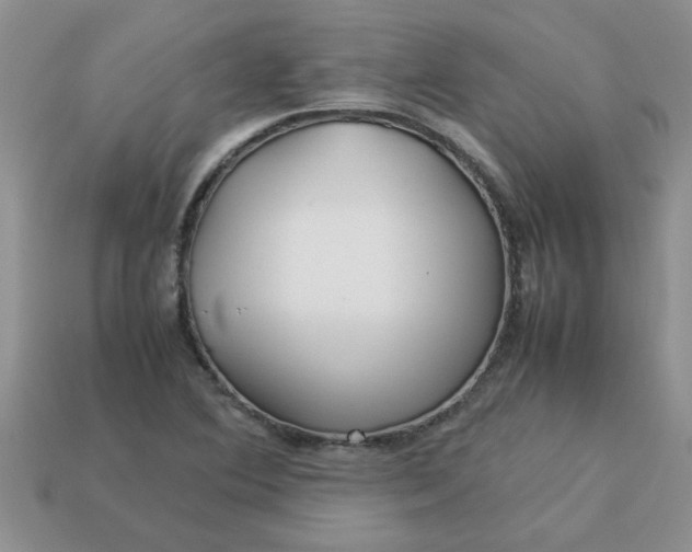 X0000113011364200909101809