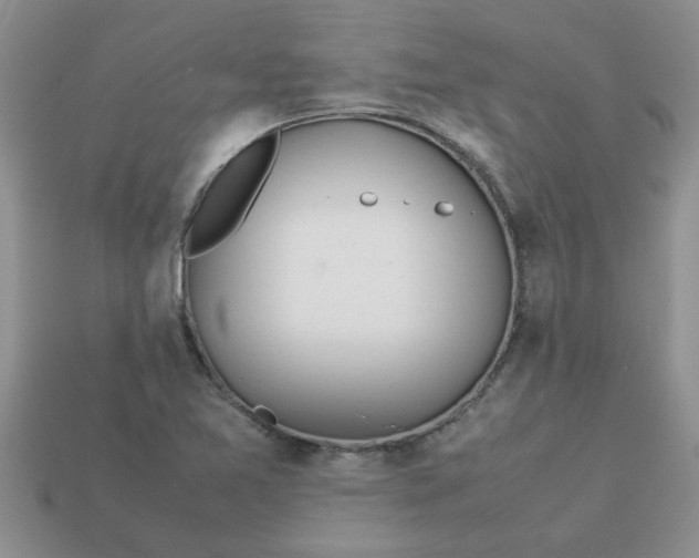 X0000113011365200909101809