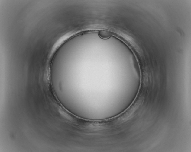 X0000113011366200909101809