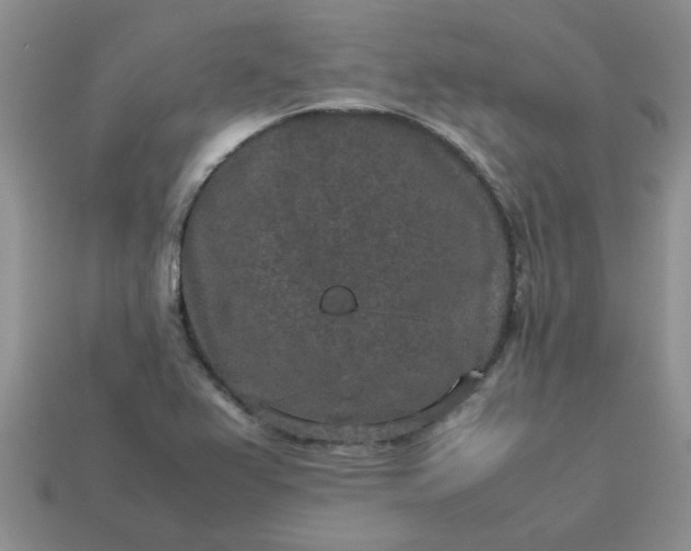 X0000113011367200909101809