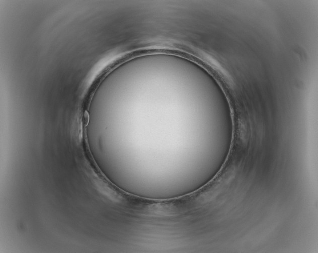 X0000113011368200909101809