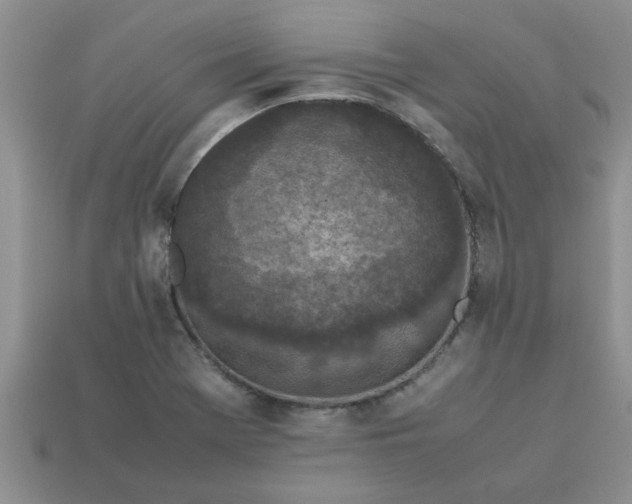 X0000113011369200909101809